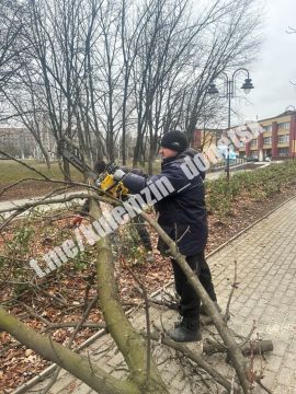 ����������� �������� ������ ���������� ������ �� ��������� ��������� �����