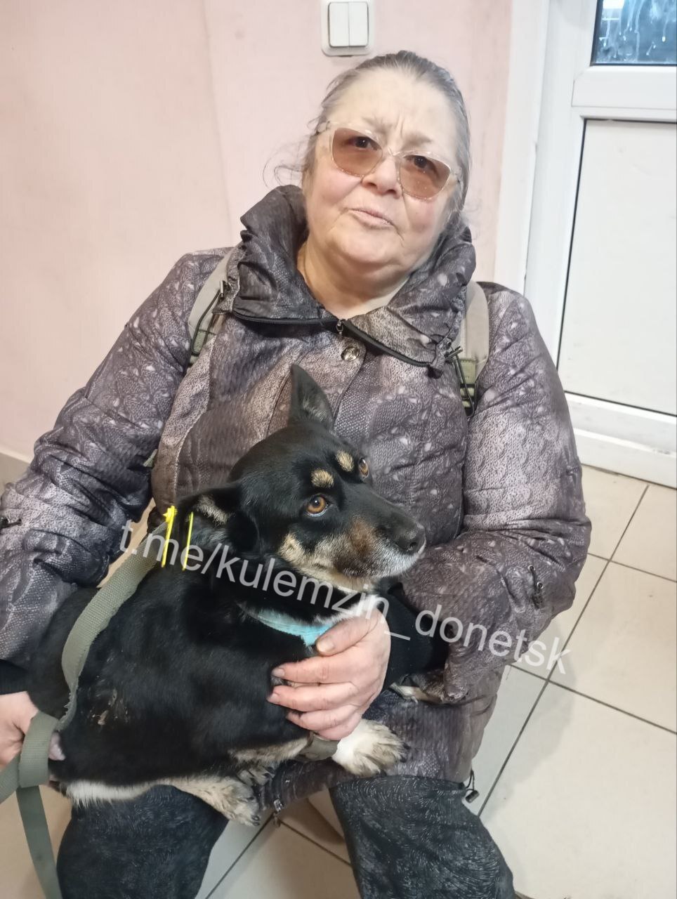 Алексей Кулемзин: Специалисты предприятия «Животные в городе» продолжают активную работу по спасению бездомных животных Алексей Кулемзин: Специалисты предприятия «Животные в городе» продолжают активную работу по спасению бездомных животных