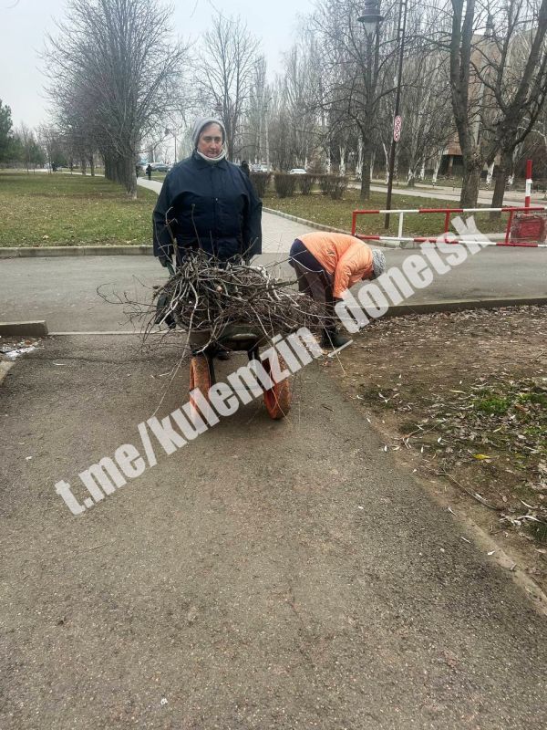 Специалисты Дирекции парков продолжают работу по улучшению городской среды Специалисты Дирекции парков продолжают работу по улучшению городской среды