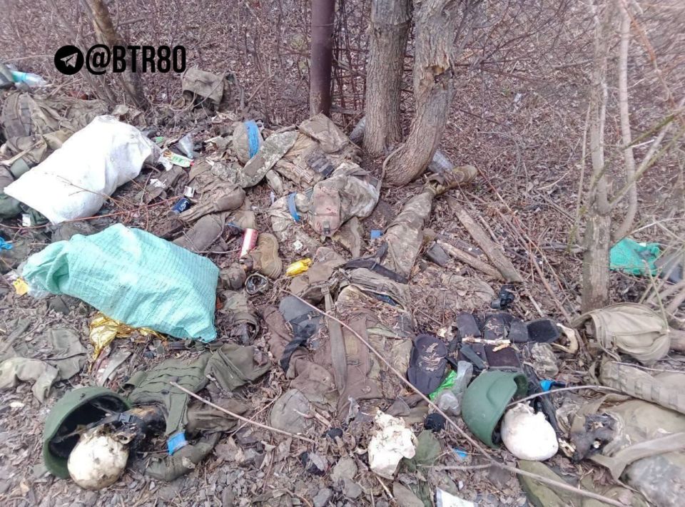 "���������, ������!" �������� ����� ����������� �������� ����������� ���������