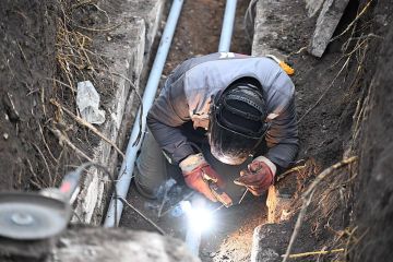 ��� ������� �� ���������� ��������� ��������� ������� � ���