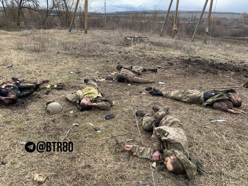 ������� �������: "�������� - �������!"