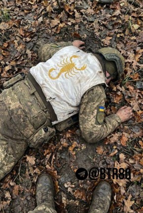 "Работайте, братья!" показали кадры результатов зачистки окруженного Димитрова