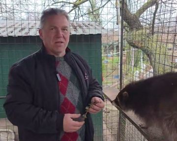 «Когда веселый щенок трется мокрым носом о щеку…»