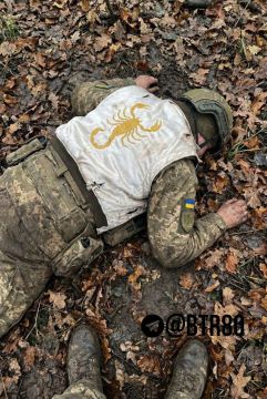 "���������, ������!" �������� ����� ����������� �������� ����������� ���������