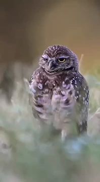 Спокойной ночи, Мариуполь!