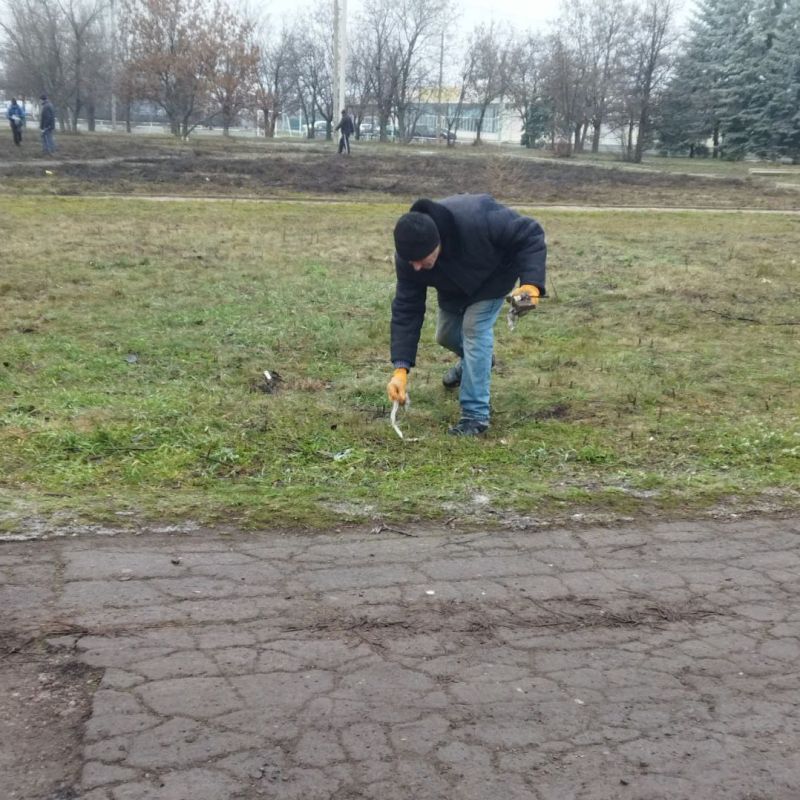 В Кировском ведутся работы по благоустройству В Кировском ведутся работы по благоустройству