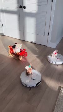 ��� ����� ����: ������� ��������� ������ ������ � ������� � ���������� � ��������� � ���������� �����������