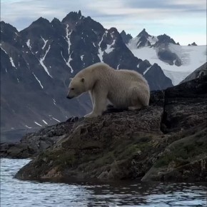 ��������� ����, ���������!