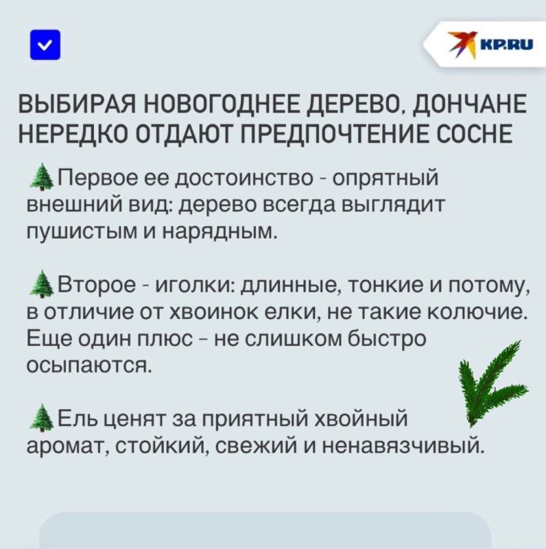 Корреспондент «КП Донецк» узнал, сколько в этом году стоят живые елки и украшения на них Корреспондент «КП Донецк» узнал, сколько в этом году стоят живые елки и украшения на них