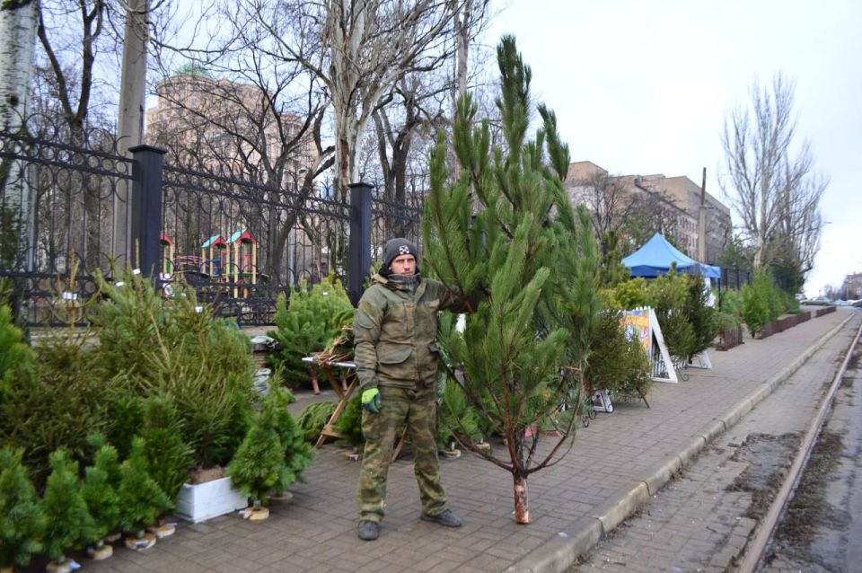 Корреспондент «КП Донецк» узнал, сколько в этом году стоят живые елки и украшения на них Корреспондент «КП Донецк» узнал, сколько в этом году стоят живые елки и украшения на них