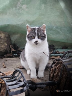 � ����� ����!. #�������� #������������������ #���������������