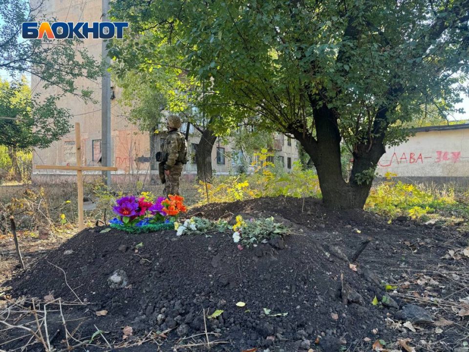 Журналист Пикта: иноагенты закрывают глаза на казни целых семей в ДНР Журналист Пикта: иноагенты закрывают глаза на казни целых семей в ДНР
