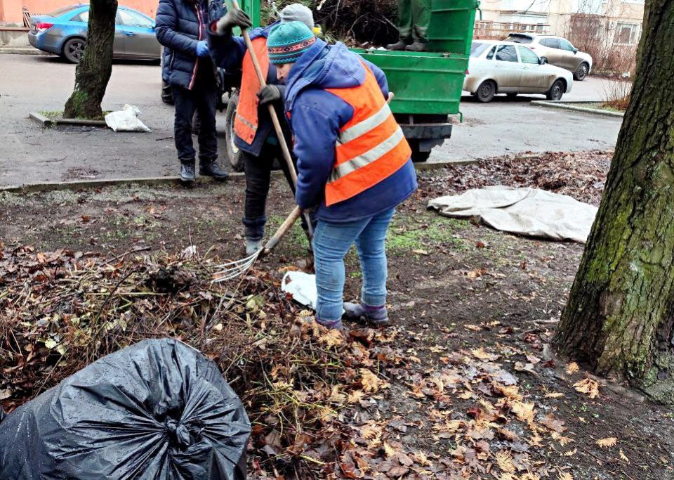 Иван Адамец: В Куйбышевском районе специалисты муниципального предприятия «Зеленое строительство» осуществляют плановые работы по благоустройству и содержанию территории Иван Адамец: В Куйбышевском районе специалисты муниципального предприятия «Зеленое строительство» осуществляют плановые работы по благоустройству и содержанию территории