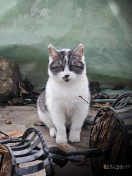 � ����� ����!. #�������� #������������������ #���������������