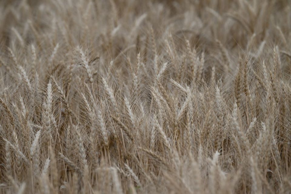 ����� �������: �������� � 2026 ���� ������ ������������ ���������������� ������� ���, � ����� ������� ����� �������� ��� 301 ������� ����� ��������������