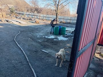 �������, 25 �������, � ��������� ��������������� ������, �������� ����������� �������, ��� ����������� ������ ���� ��� ������� �����, � ������� � ������������� �������� ���� �� ��������� ����