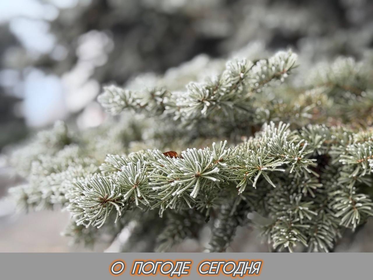 Александр Шатов: 25 декабря в Республике переменная облачность, без существенных осадков, порывы ветра до 10 метров в секунду