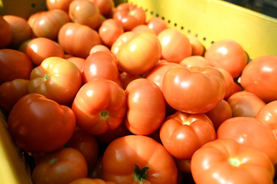 ����� �������: �������� � 2026 ���� ������ ������������ ���������������� ������� ���, � ����� ������� ����� �������� ��� 301 ������� ����� ��������������