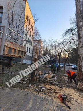 ������� ��������: ��������� ������������� ����������� ������� ������������� ���������� ������������ ������� � ��������������� � ������