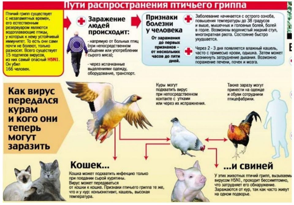 Михаил Меренков: ВНИМАНИЕ ВАЖНАЯ ИНФОРМАЦИЯ Михаил Меренков: ВНИМАНИЕ ВАЖНАЯ ИНФОРМАЦИЯ