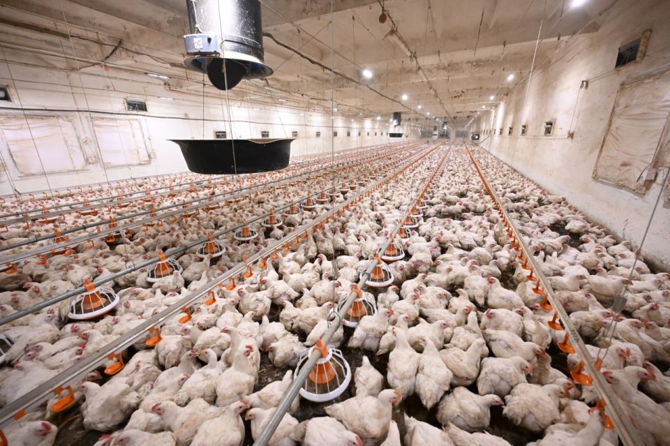 ����� �������: �������� � 2026 ���� ������ ������������ ���������������� ������� ���, � ����� ������� ����� �������� ��� 301 ������� ����� ��������������