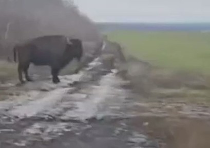 ����� �����, ��� � ��������� �����: ���������� � ��� ���� �������� ������������ �������