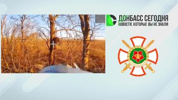 ��� ������������ ����� �� ���������� ������������