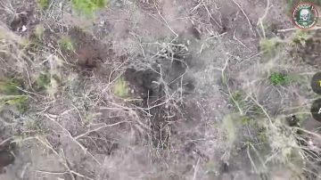 ��������������� ��������� ����� ���� � �������� ���