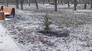 ������ ������ � ����� � �������