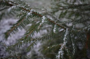 ������ ����, ������������� ������������� �����!