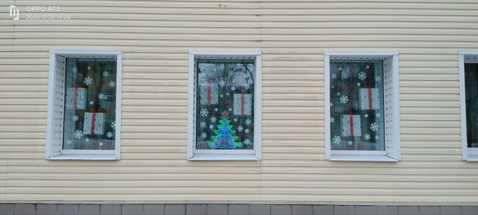 Ждановка встречает Новый год: городские окна засияли праздничными узорами! Ждановка встречает Новый год: городские окна засияли праздничными узорами!