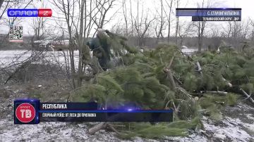 ������� ����: �� ���� �� ��������