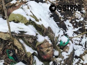 ������� �������: "�������� - �������!"