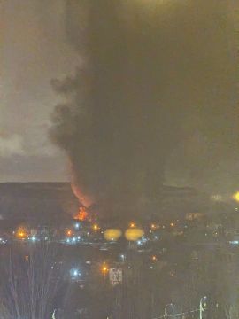 ��� ���� ������� �� �������