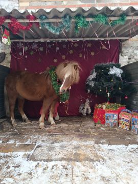 ���������� �������� � ������������� ������ �����