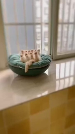 ������ ���� �������. 27 ������� � ��������� ����, ����� �������������� ������� ������������� � ��������� ����