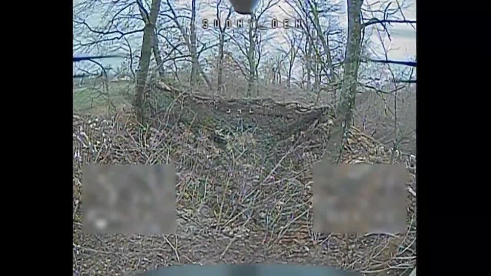 ���� ��������: ����� ������������� ����������� ���������� ��������� ��������, ��� ���� 20 ������� � ������������ �.�. ��������� ���� ���������� ��������� ��������������� ������������ ���