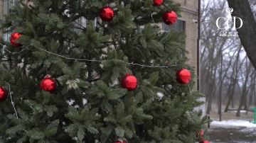 Наталья Никонорова: Сегодня вместе с нашим добрым другом, депутатом Госдумы РФ Казбеком Куцуковичем Тайсаевым, поздравили детей амвросиевского детского дома «Росток» с наступающим Новым годом