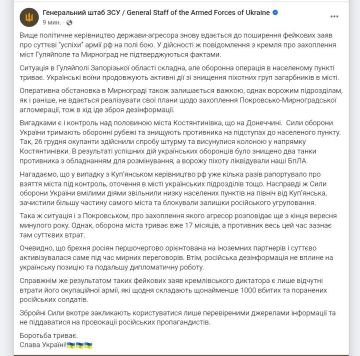 Генштаб ВСУ отрицает освобождение Мирнограда и Гуляйполя, говоря, что в них еще есть присутствие ВСУ и оборонительная операция продолжается
