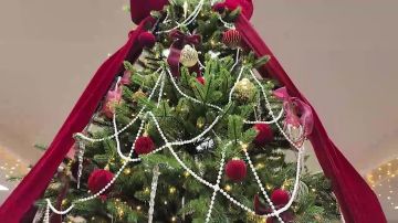 � ���������� ���������� ����� �������� ��������� ���������� �������� �122, ����� ������� ���������� ������� ����� ���������� ��� � ������� �� ����������� �����