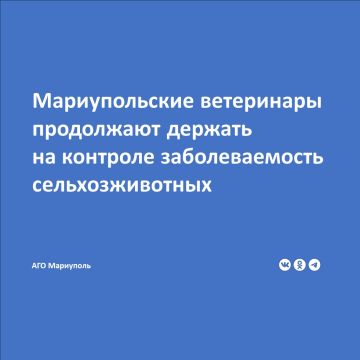 Итоги работы в 2025 году подвел начальник отдела организации противоэпизоотических мероприятий и лечебной работы городской ветеринарной клиники Эдуард Квашук