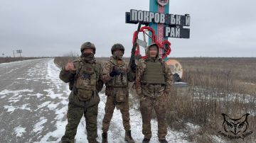 Новости СВО: ВСУ готовят контрудар в Покровске