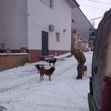 � ��������� ���������� ����������� �� ���������� ��������� �������� ��������