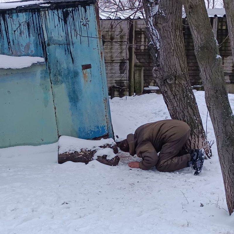 В Кировском проводятся мероприятия по сокращению популяции бродячих животных В Кировском проводятся мероприятия по сокращению популяции бродячих животных