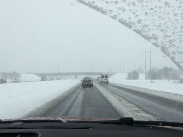 ��������� ����������: 29 �������. �������� ������� � �������� �������� ����������: 29 ������� �� ���������� ���������� � ������� ��� ��������� ������� ���������, ������ ����