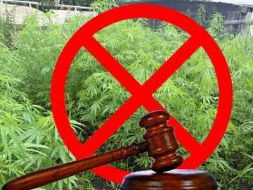 ������ �. �������� ������� �� ��������������� 640 ������ ��������, ���������� ������������� ��������, � ����� �������� ������ ����� ��������