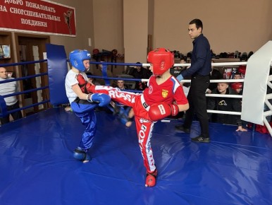 Новогодний турнир по кикбоксингу