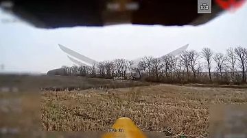 �������� ���� ����������� � ����� ������: ����� ����������� ���������� Leopard, ���������������� � ���� ����� ��������� ����