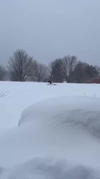 ����� �� ���� ������ ���. �� ���������� ����� �������� �� �����?